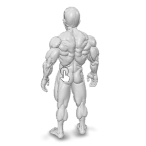 Bodybuilder Anatomy Extreme Comic Version TM SYS 3D